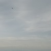 Offshore Mp3