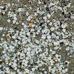 Foundling - I Crawled the Earth (Proto Sites Reissue)