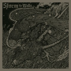 Storm the Walls - Zorika