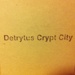 「Detrytus  Cryptcity」 split 7inch (digest sample) 2013/ 4 / 13 release !
