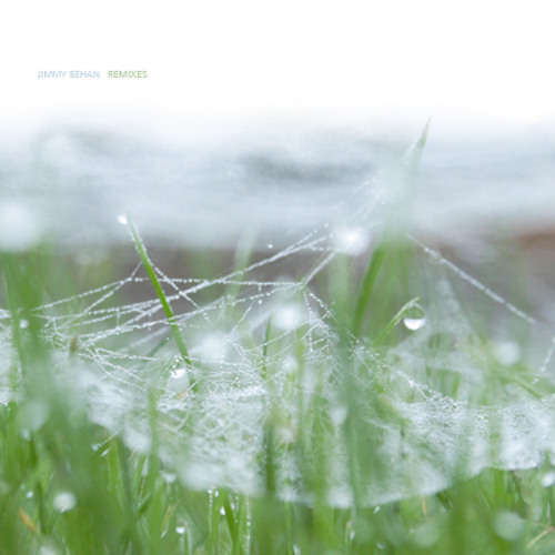 The Redneck Manifesto - Hibernation Statement (Jimmy Behan Remix)