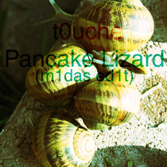Pancake Lizard - Aphex Twin (m1das ed1t)