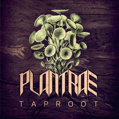Plantrae - Enter The Seed