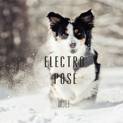 Electroposé #Mars-2013-Week-02