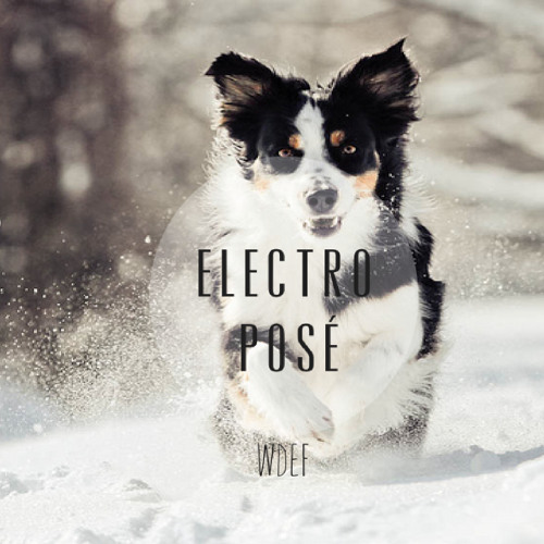 Electroposé #Mars-2013-Week-02