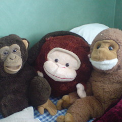 En lyckad dag på kammarn