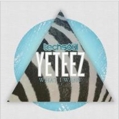 Yeteez - What I Want (DiMO (BG) Remix) [Techsoul Records]