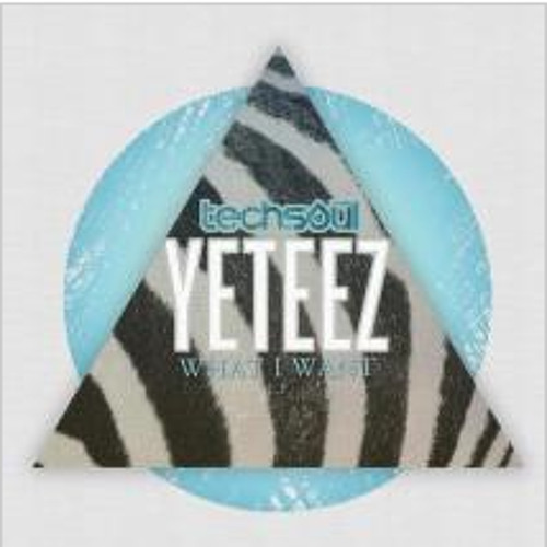 Yeteez - What I Want (DiMO (BG) Remix) [Techsoul Records]