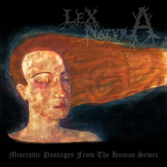 Inside The Hidden Walls