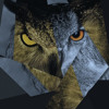 Drake 5am In Toronto Instrumental Mp3