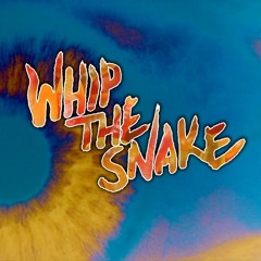 Night Flight to Venus