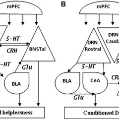 Learned Helplessness
