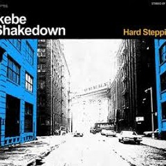 Ikebe Shakedown - Hard Steppin Loop