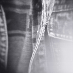 The oldest living thing