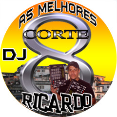 RICARDO DJ 2013