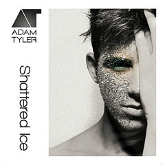 Adam Tyler - Taking Back My Love