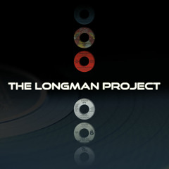 Avicii, Nicky Romero, Kaskade - I Could Be The One-How Long (The Longman Project Mix)