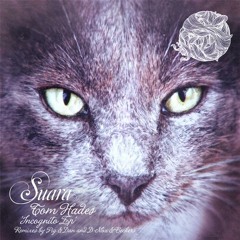 Tom Hades - I'm Not What You Think You Are (Pig&Dan Remix) [Suara]