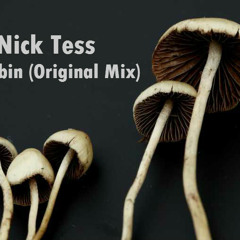Nick Tess - Psilocybin (Original Mix)