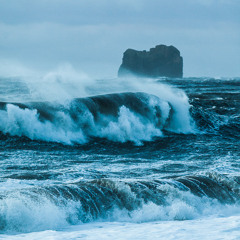 whitesea