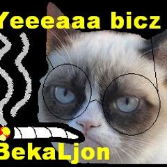Beka KSH - światła