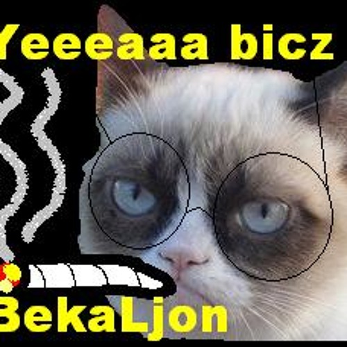 Beka KSH - światła