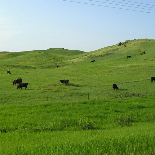 Synthesizer Patterns - Multiple Themes