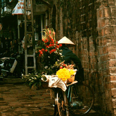 Lac [Quoc Thien]
