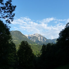 MACRIMA - *BABUS ZAUBERWALD*