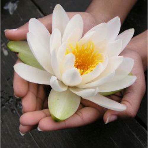 Guided Meditation and Music