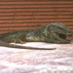 Listening to the word-mp3