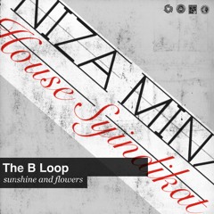 The B Loop