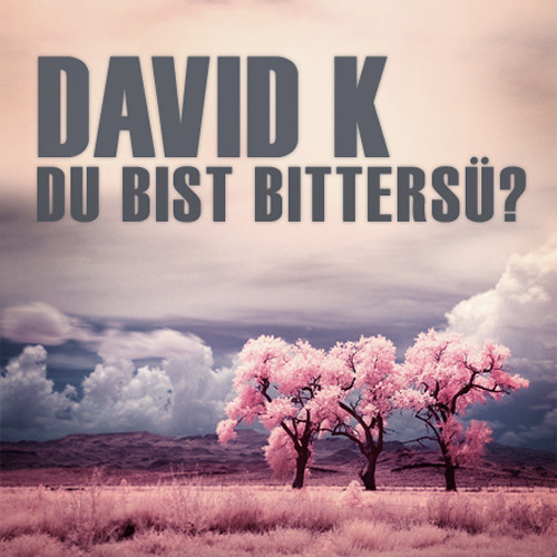 David K. - Du bist Bittersü? PROMO MARCH 2013