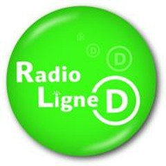Flash info Trafic - Radio Ligne D