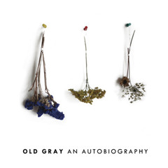 "The Artist" - Old Gray