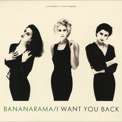 Bananarama-The Bananarama Megamix / Wow! Megamix (edit)