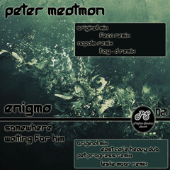 Peter Meatman - Somewhere waiting for Him (Leslie Moor Remix) - Perfect Session Records