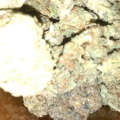 Mixtape Track Ft. Money & A-Locc at Chandler,Az