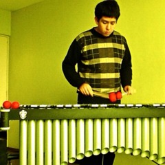 Basic pattern of the toro zacamandu at Sumidero