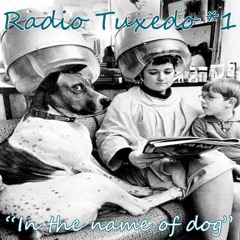 Radio Tuxedo "In The Name of Dog"