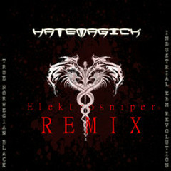 2013 Remixes
