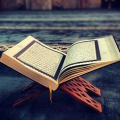 ناصر القطامي