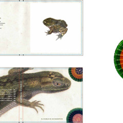 03 - Asunción y caída de las ruinas suspendidas