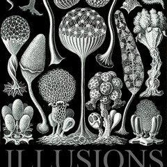 Cutups - Illusions VII