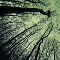 Effect distorted(original mix)