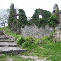 Blut zu Eis -3- 2. Im Rosengarten