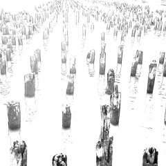 Pellere (2012) - excerpt (stereo reduction)