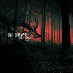 Black Sun Empire feat Foreign Beggars - Dawn of a Dark Day (Prolix Remix) - Clip