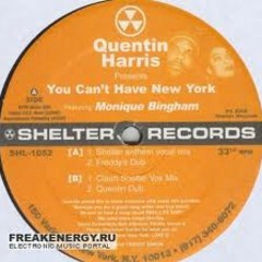 You Can't Have New York - Monique Bingham/Quentin Harris - 2005 - Shelter Records