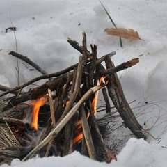 Brain Reaper - Steel fish (the human bone eater)